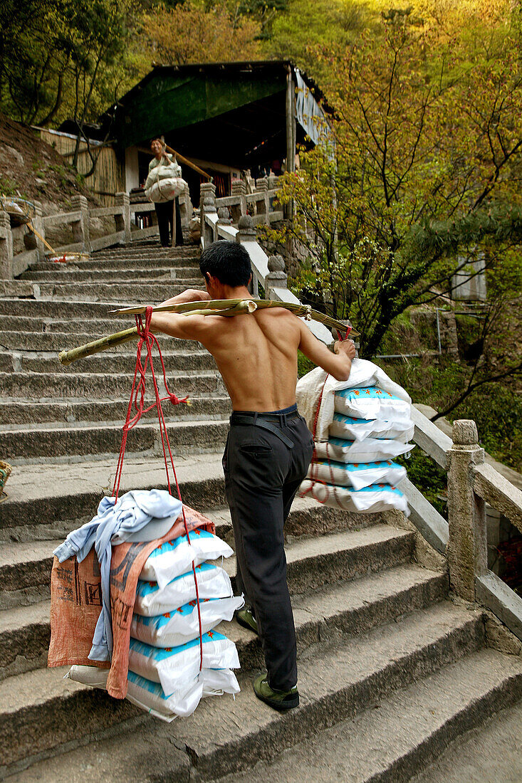 Träger trägt schwere Last eine Steintreppe hinauf, Jiuhua Shan, Provinz Anhui, China, Asien