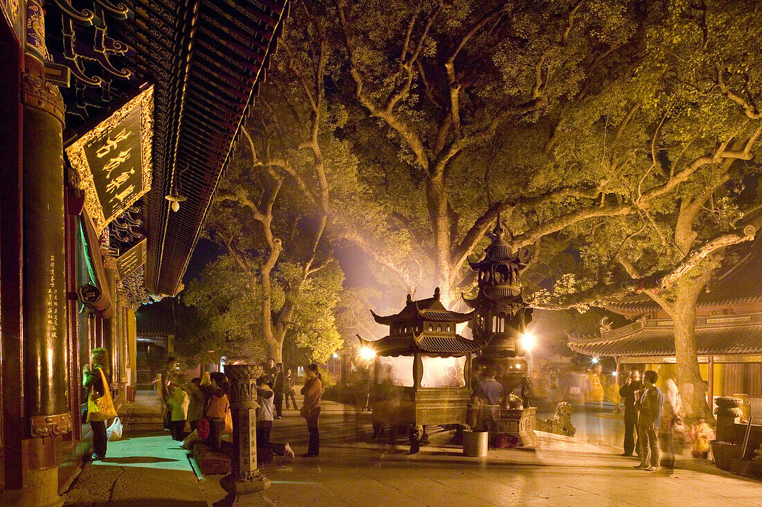 Gingko Bäume und Menschen stehen bei Nacht vor dem Puji Si Tempel, Klosterinsel Putuo Shan, Provinz Zhejiang, China, Asien