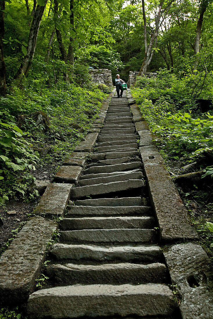 pilgrim path along steep steps to the peak, 1613 metres high, Wudang Shan, Taoist mountain, Hubei province, Wudangshan, Mount Wudang, UNESCO world cultural heritage site, birthplace of Tai chi, China, Asia