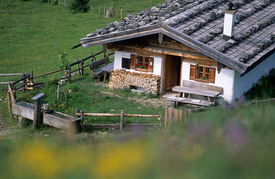 Oberauerbrunstalm, Blick durch eine Blumenwiese auf das traditionelle Almgebäude mit Schindeldach, Chiemgauer Alpen, Oberbayern, Bayern, Deutschland
