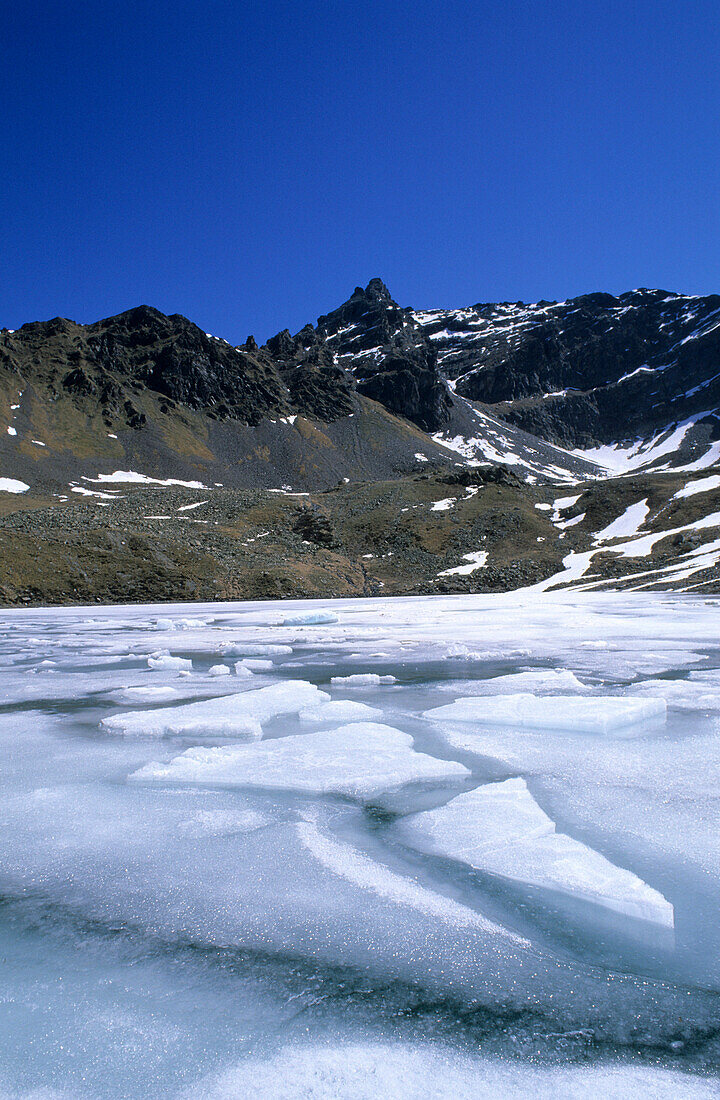 Eisschollen im Teo See, Blick auf Piz dal Teo, Livignoalpen, Graubünden, Schweiz
