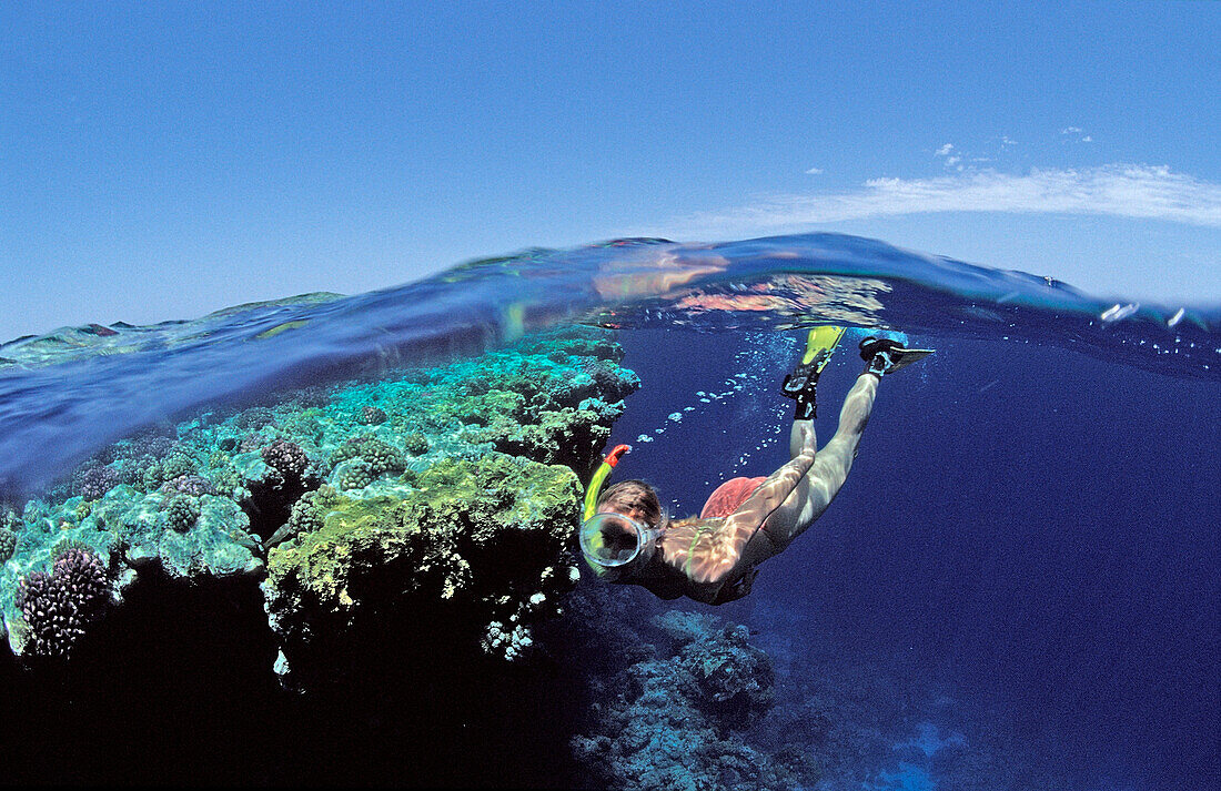 Snorkelung beside coral reef, Egypt, Zabargad, Zabarghad, Red Sea