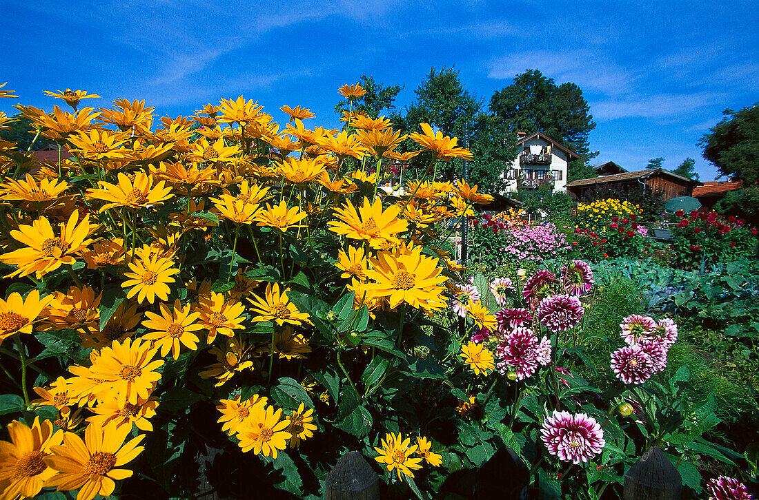 Floridity,Chiemsee, Bavaria, Germany