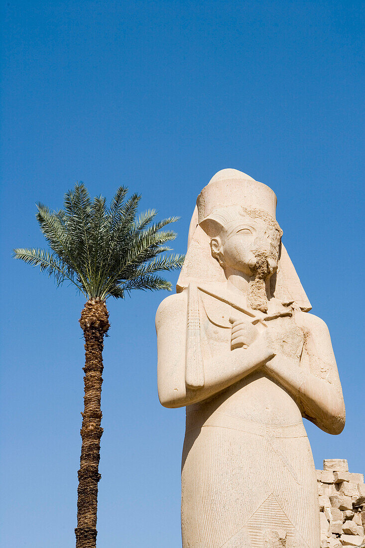 Dattelpalme und Riesen Statue, Karnak Tempel, Luxor, Ägypten