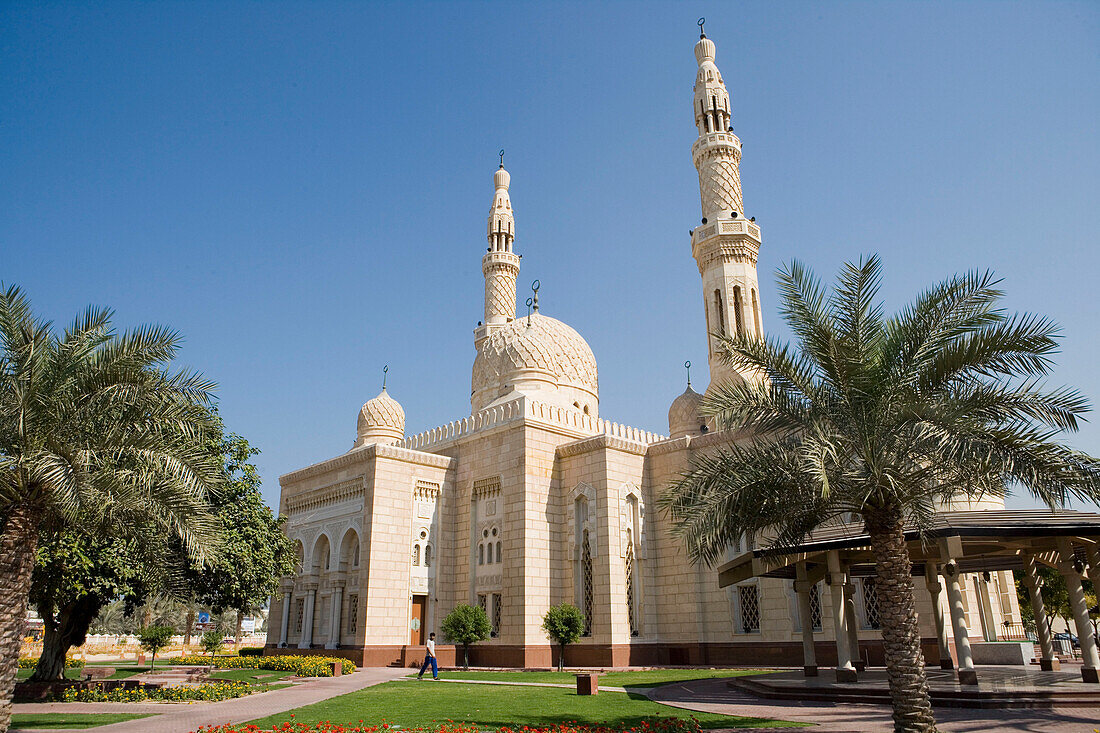 Dattelpalme und Jumeirah Moschee, Dubai, Vereinigte Arabische Emirate