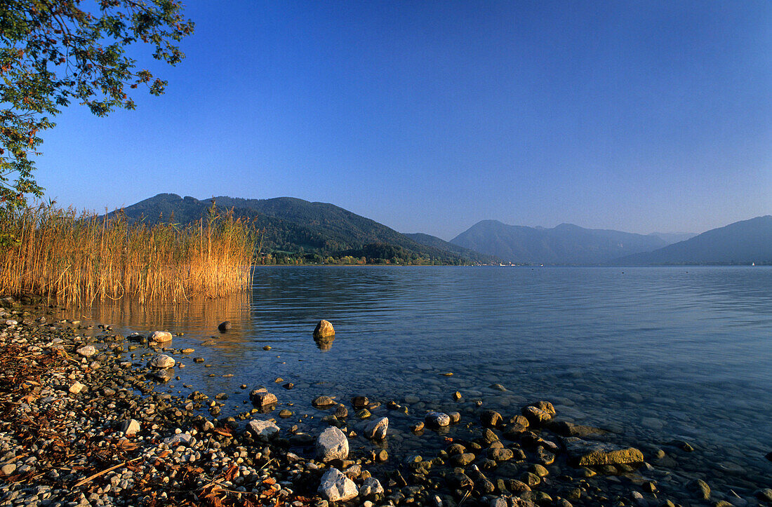 Ufer des Tegernsees mit Blick auf Wallberg und Setzberg, Bayerische Voralpen, Oberbayern, Bayern, Deutschland