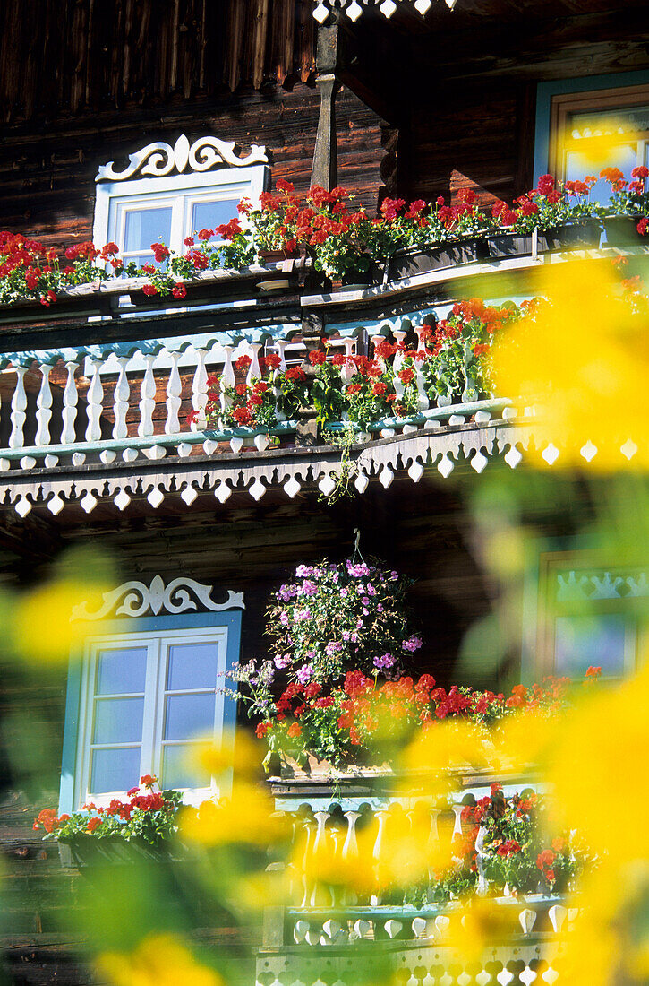 Traditionelles Bauernhaus mit Blumenschmuck, Kals, Glocknergruppe, Hohe Tauern, Osttirol, Tirol, Österreich