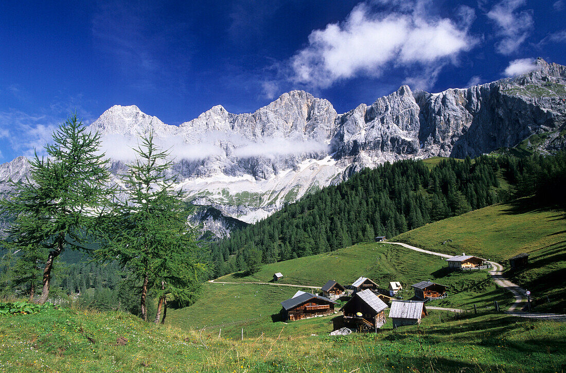 Neustattalm mit Torstein, Mitterspitz, Dachstein and Hunerkogel, Dachsteingruppe, Steiermark, Österreich