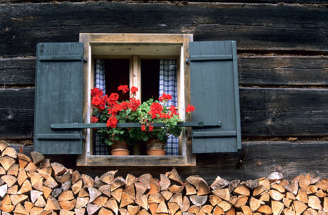 Fenster eines Bauernhauses mit Geranien-Blumenschmuck und aufgeschichtetem Brennholz, Gosau, Oberösterreich, Österreich