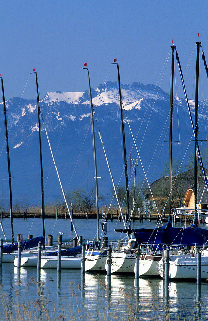 Sailing boats in Seebruck harbour at lake Chiemsee with Kampenwand in the background, Chiemgau, Upper Bavaria, Bavaria, Germany