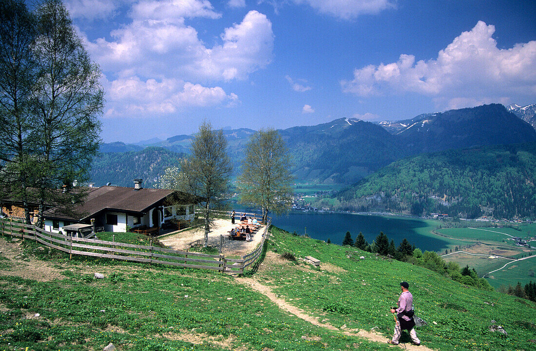 Lippenalm with view to lake Walchsee, Kaiser mountain range, Tyrol, Austria