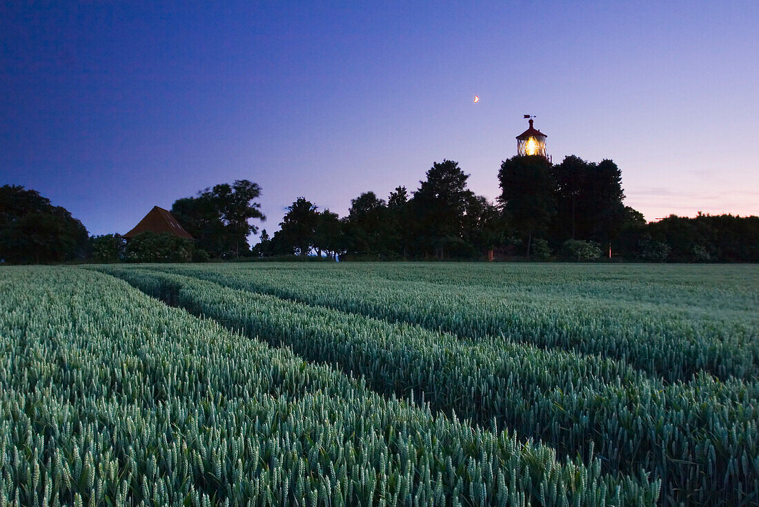 Lighthouse Staberhuk and field in the evening, Fehmarn Island, Schleswig-Holstein, Germany