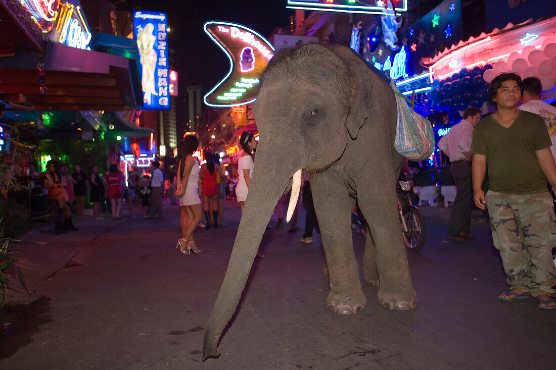 A elephant and mahout begging at Soi Cowboy, red-light district,  Th Sukhumvit, Bangkok, Thailand