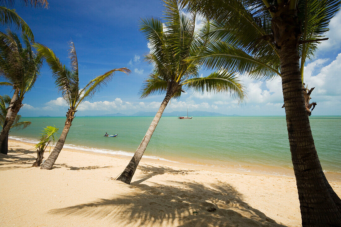 Boat and palms at Mae Nam Beach, Hat Mae Nam, Ko Samui, Thailand