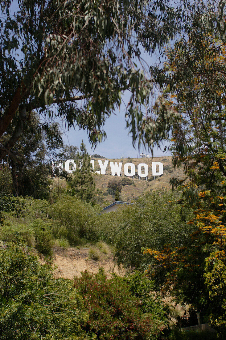 Hollywood Schriftzug, Logo, Zeichen, Los Angeles, Kalifornien, Vereinigte Staaten von Amerika, U.S.A.