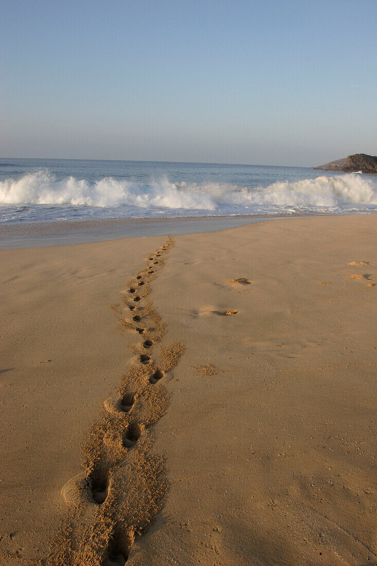 footprints on beach, early morning, Maunalua Bay, Honolulu, United States of America, U.S.A.