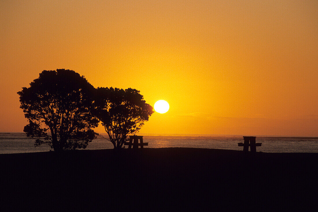 Ein Picknick Tisch bei Sonnenuntergang, Hokianga Harbour, in der Nähe von Opononi, Northland, Nordinsel, Neuseeland