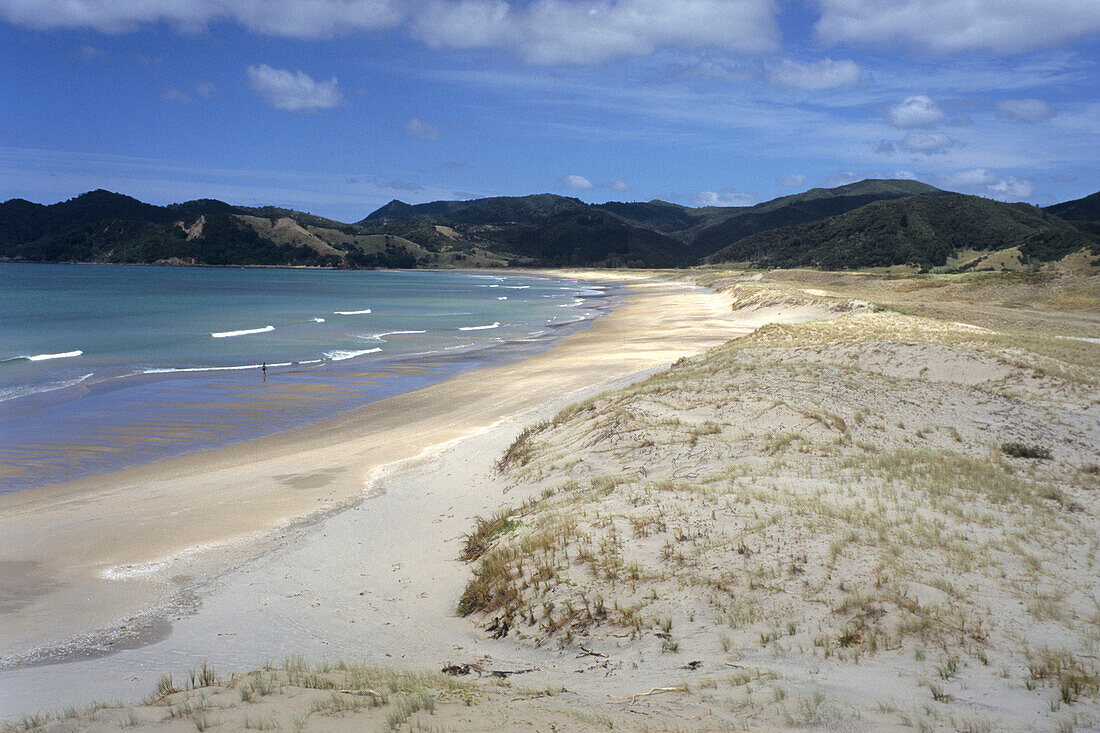 Beach at Waikawau Bay, Coromandel Peninsula, North Island, New Zealand