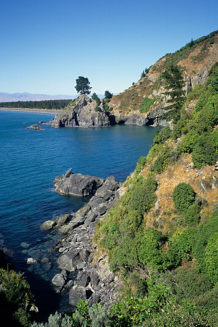 Ein Küstenlandschaft und Bucht, Pigeon Bay, Near Cloudy Bay, near Blenheim, Marlborough, Südinsel, Neuseeland