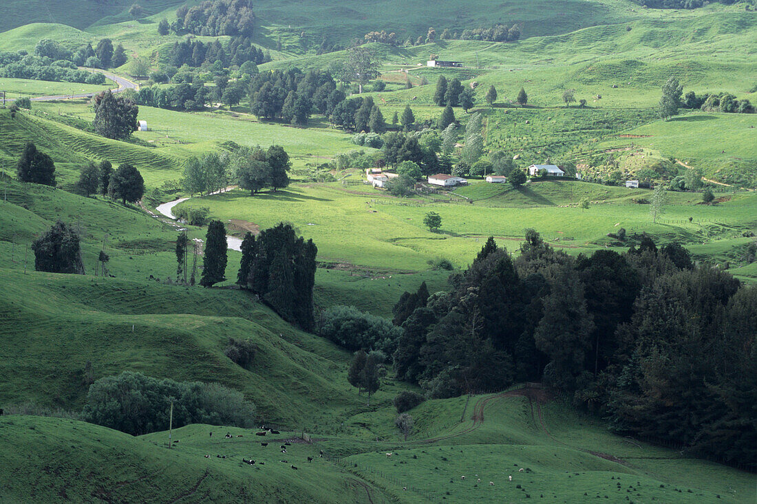 Landwirtschaftliche Landschaft in der Nähe von Taumarunui, Waikato, Nordinsel, Neuseeland