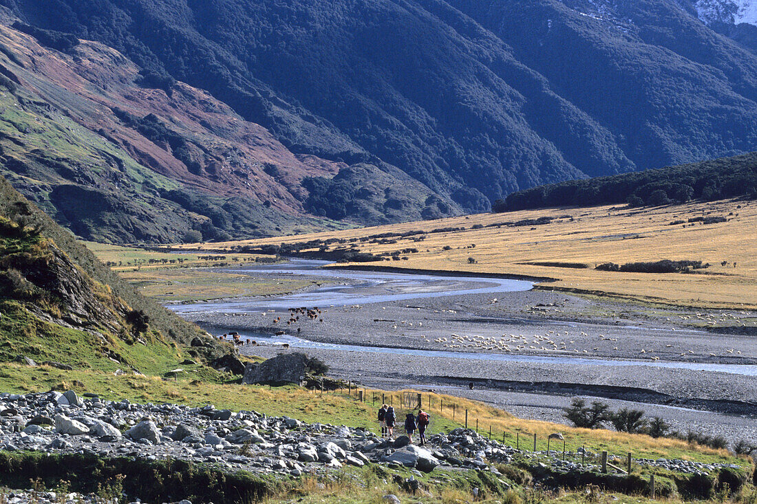 Wanderer in der Matukituki Tal, Mount Aspiring National Park, Südinsel, Neuseeland