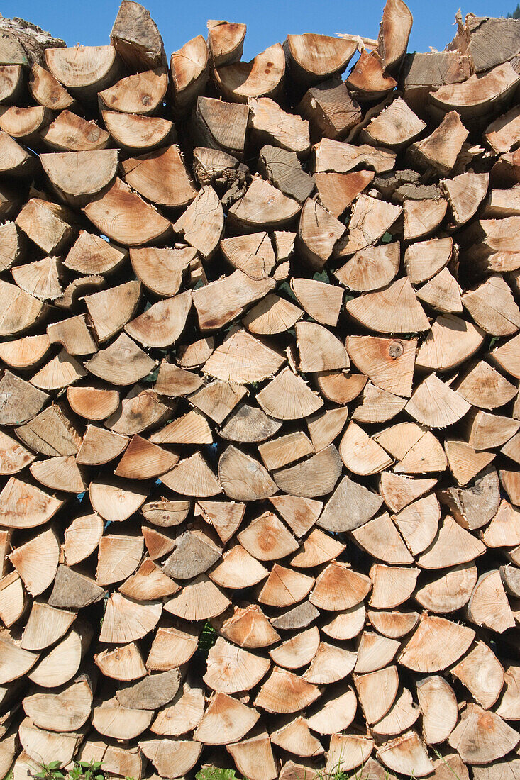 Nahaufnahme von Holz, eine Holzscheite, Brennholz