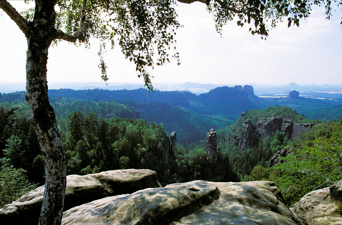 Elbsandsteingebirge Carolafelsen, Nationalpark Sächsische Schweiz, Sachsen, Deutschland