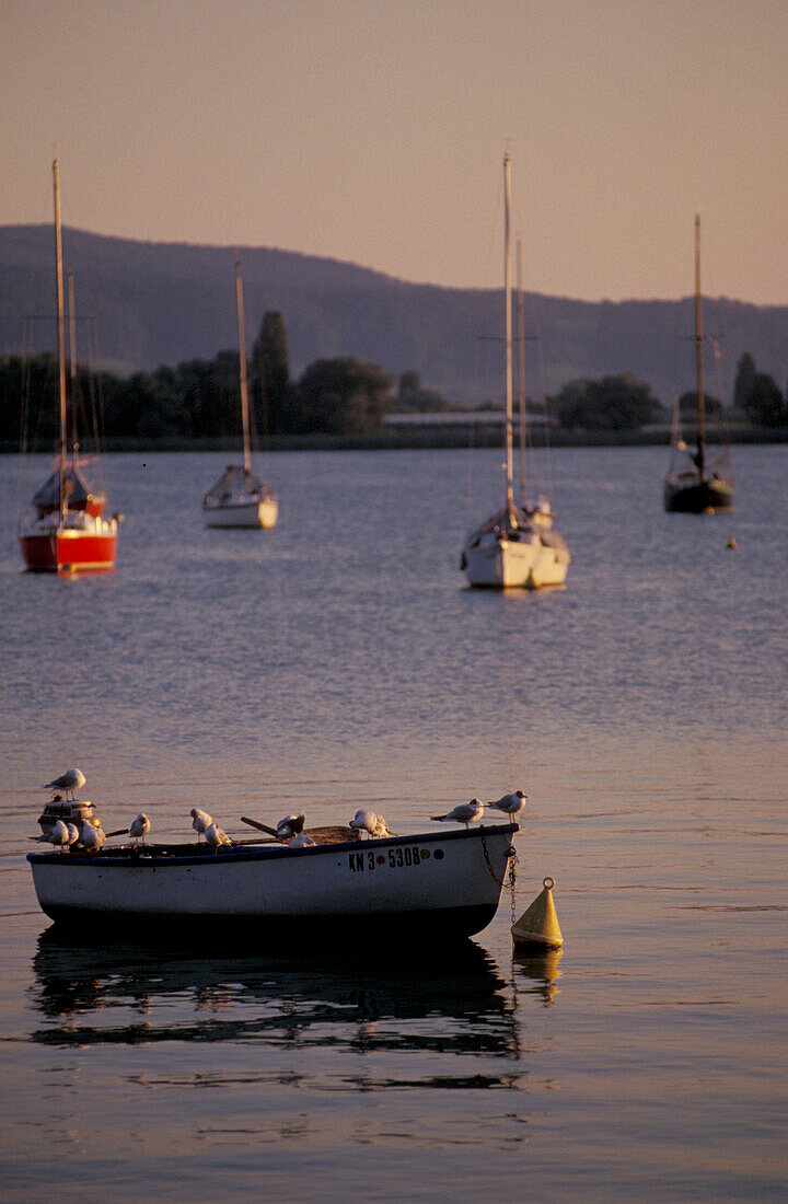 Lake constance near Allensbach at dusk, Baden-Wurttemberg, Germany