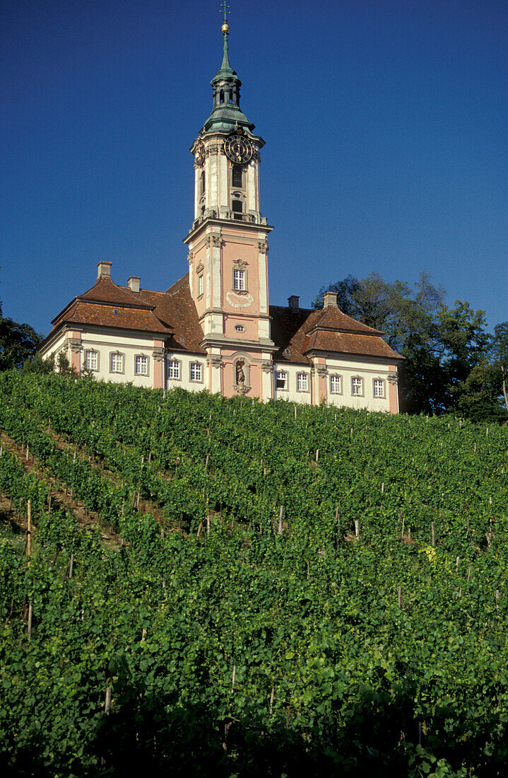 Church in the vineyards, built in 1747-1749, Birnau, Lake Constance, Baden Wurttemberg, Germany
