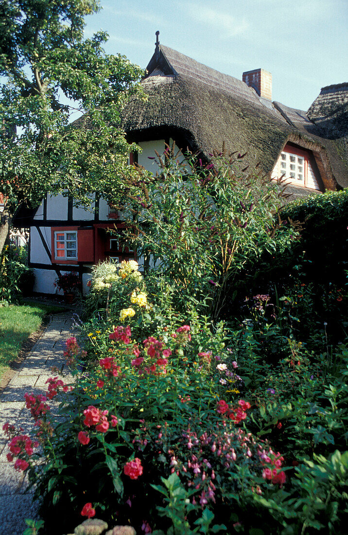 Cottage at Wustrow, Fischland, Mecklenburg-pomerania, Germany, Europe