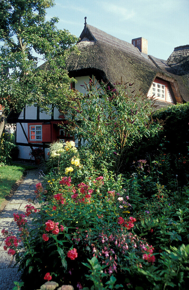 Wustrow, Fischland, Mecklenburg-Vorpommern, Deutschland, Europa