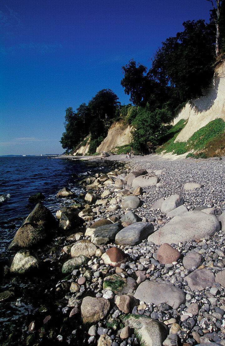 Chalk cliffs and pebble beach near Sassnitz, Rügen Island, Mecklenburg-Pomerania, Germany, Europe
