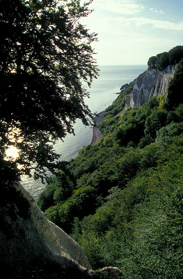 Chalk cliffs, Königstuhl, Jasmund National Park, Rugen Island, Mecklenburg-Pomerania, Germany, Europe