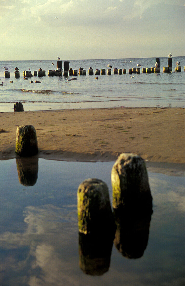 Beach near Heringsdorf, Usedom, Mecklenburg-Pomerania, Germany, Europe