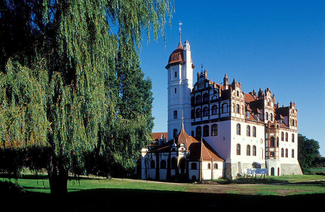View of Basedow castle, Basedow, Mecklenburg-pomerania, Germany, Europe