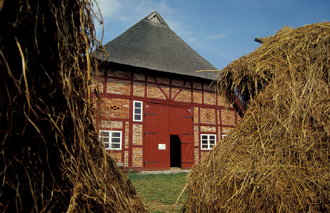 Farmhouse in the open air museum, Klockenhagen, Mecklenburg-Pomerania, Germany, Europe