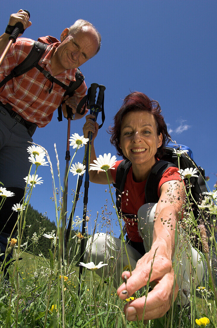 Couple of hikers, woman picking flower, Austria