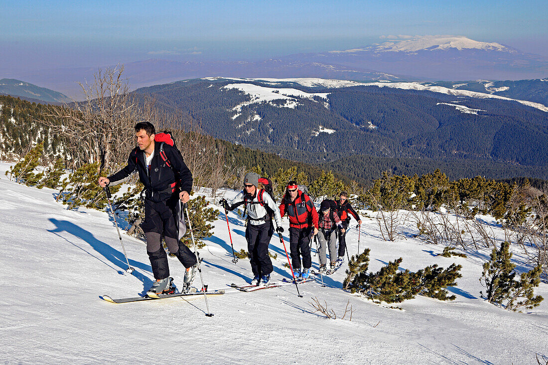 Eine Gruppe Skitouristen steigt auf mit Skiern und Fellen zum Gipfel des Popova Kapa, Rila Gebirge, Bulgarien