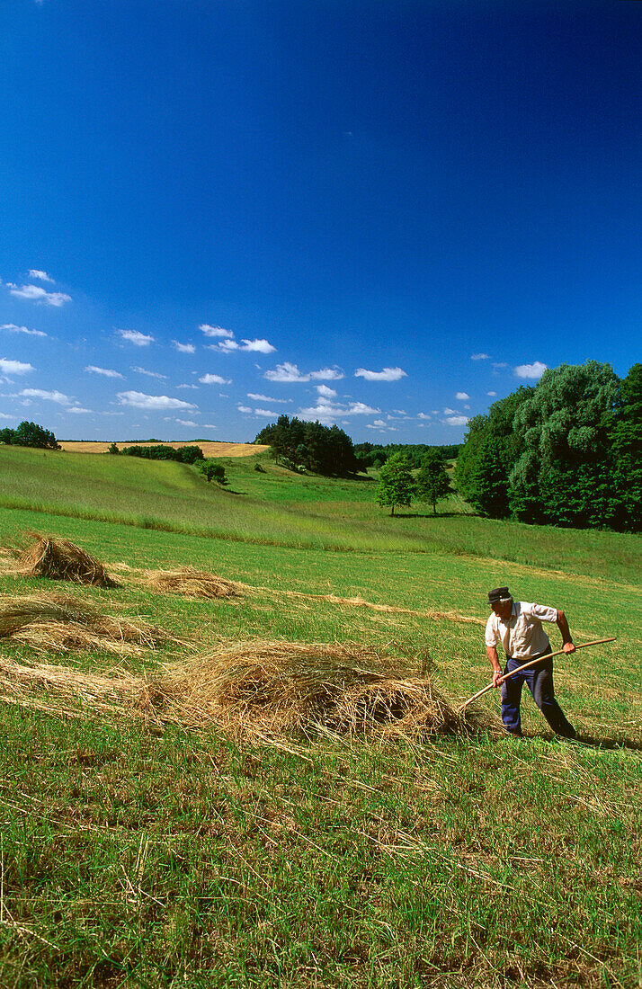 Farmer harvesting hay, Brandenburg, Germany