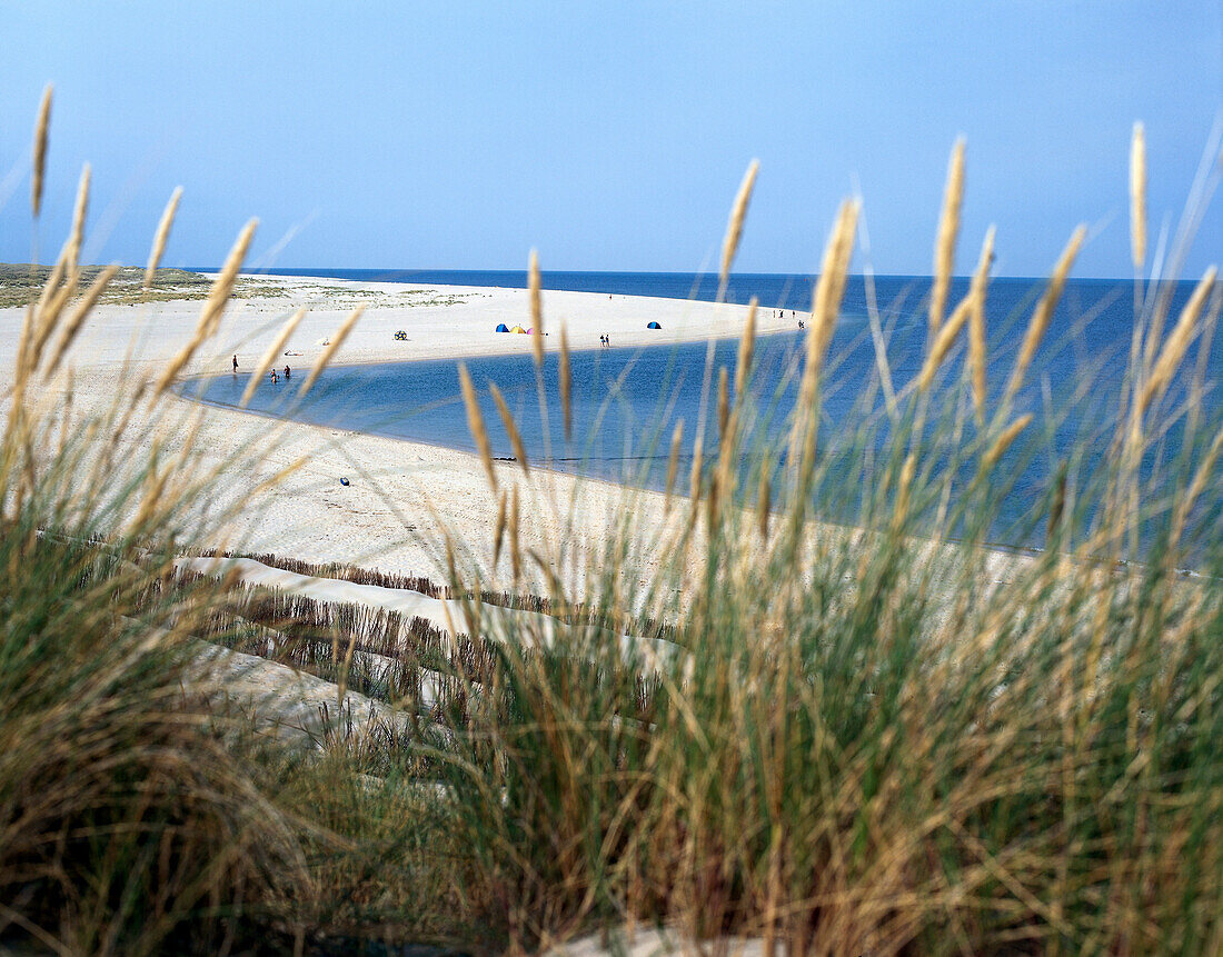 Bucht im Naturschutzgebiet Ellenbogen, Nordost-Strand, bei List, Insel Sylt, Deutschland