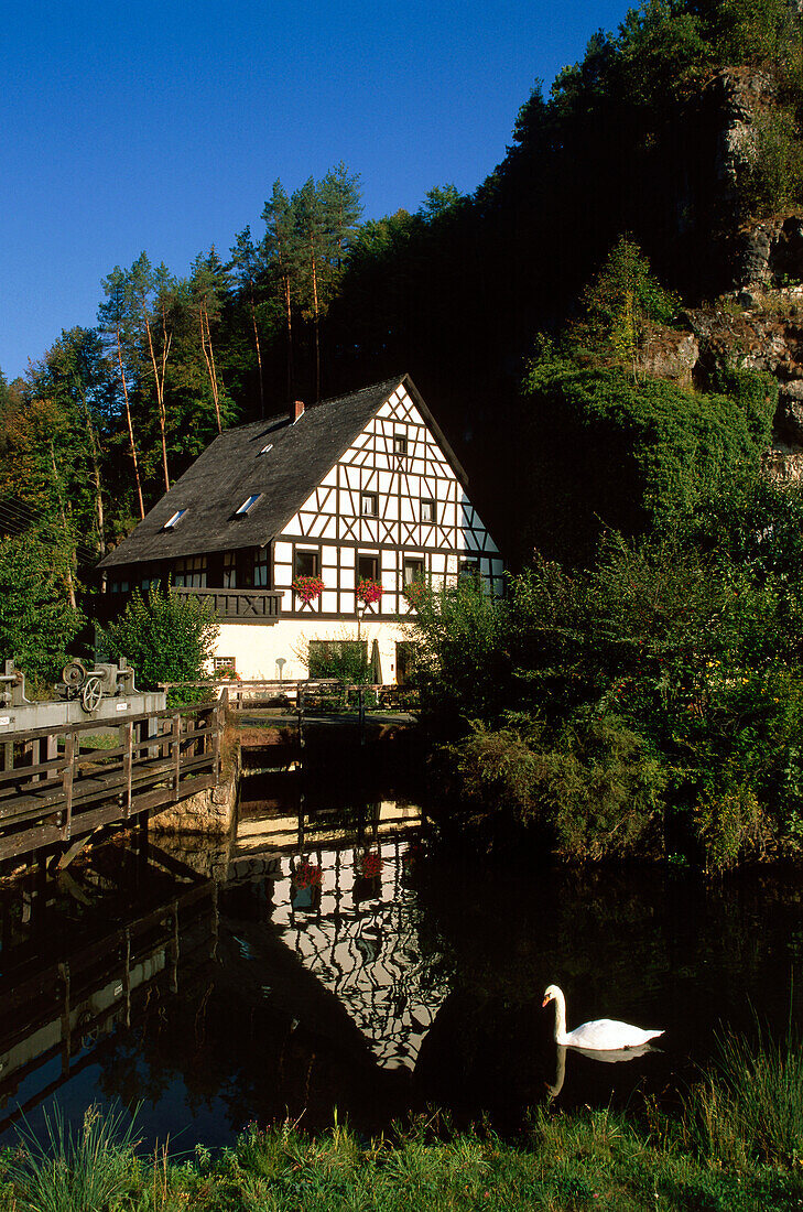 Mill and swan on the river Wiesent, Pottenstein, Franconian Switzerland, Franconia, Bavaria, Germany