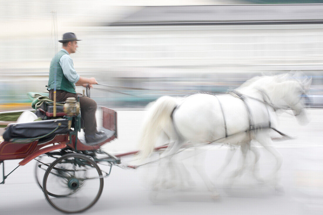 A horse drawn carriage in Salzburg, Austria