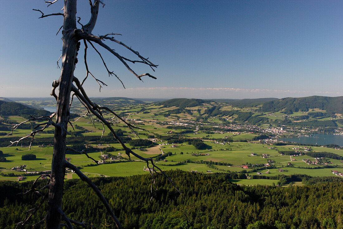 Blick übers Salzburger Land von der Ruine Wartenfels bei Fuschl am See, Salzburg, Salzburger Land, Österreich