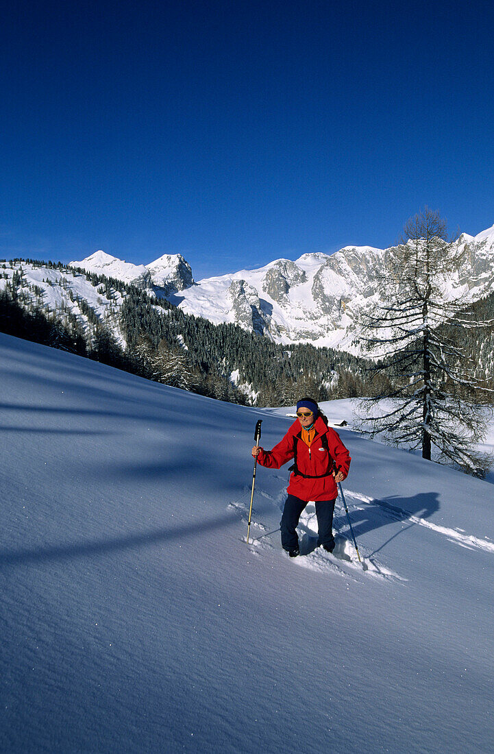 Hiker in virgin snow, view to Tennengebirge, Korein, Salzburg, Austria