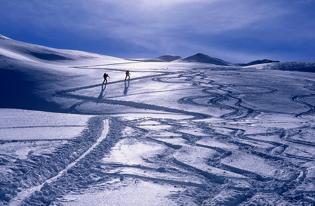 Zwei Bergsteiger auf Skitour, Schneefläche mit Aufstiegs- und Abfahrtsspuren im Gegenlicht, Gilfert, Tuxer Voralpen, Tirol, Österreich