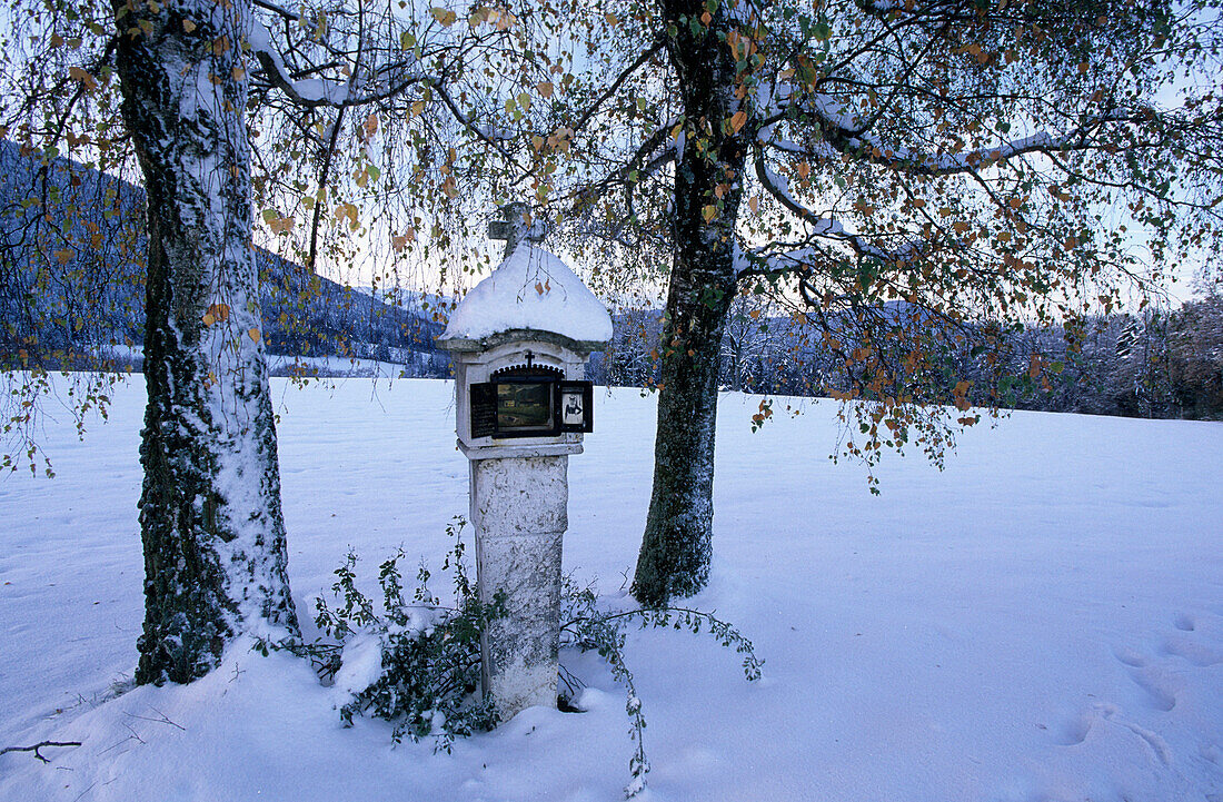 Verschneites Marterl zwischen Bäumen mit Herbstlaub, Hundhamer Berg, Oberbayern, Bayern, Deutschland
