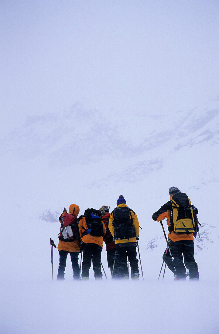 Group of back country skiers in snowstorm, Hohe Tauern Range, Salzburg, Austria