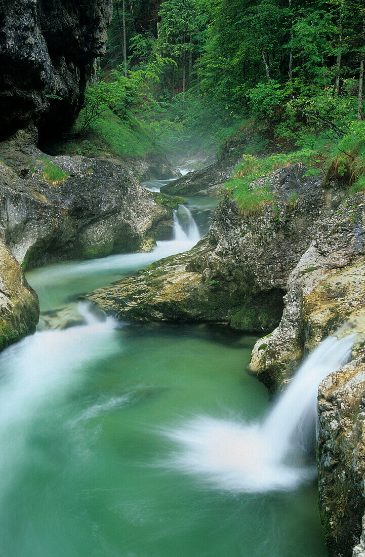 River of Weissbach with waterfalls, Chiemgau, Upper Bavaria, Bavaria, Germany