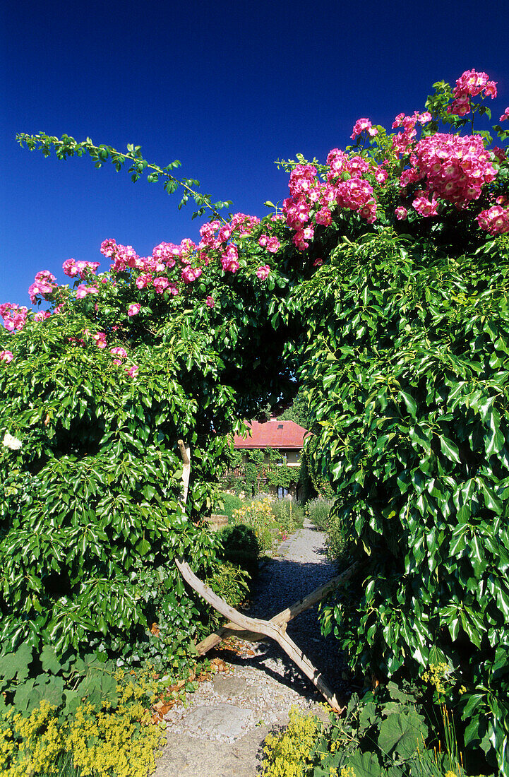 Rosengesäumter Torbogen vor Villa, Fraueninsel, Chiemsee, Chiemgau, Oberbayern, Bayern, Deutschland