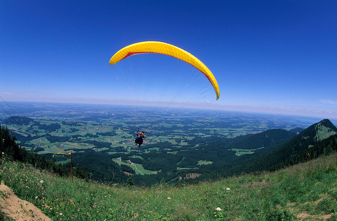 Take-off of paraglider at Hochries, tandem flight, Chiemgau, Upper Bavaria, Bavaria, Germany